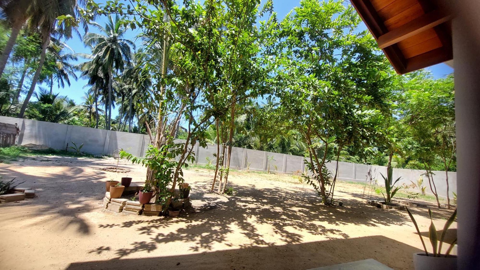 The Dream Inn Guesthouse Passikudah バッティカロア エクステリア 写真
