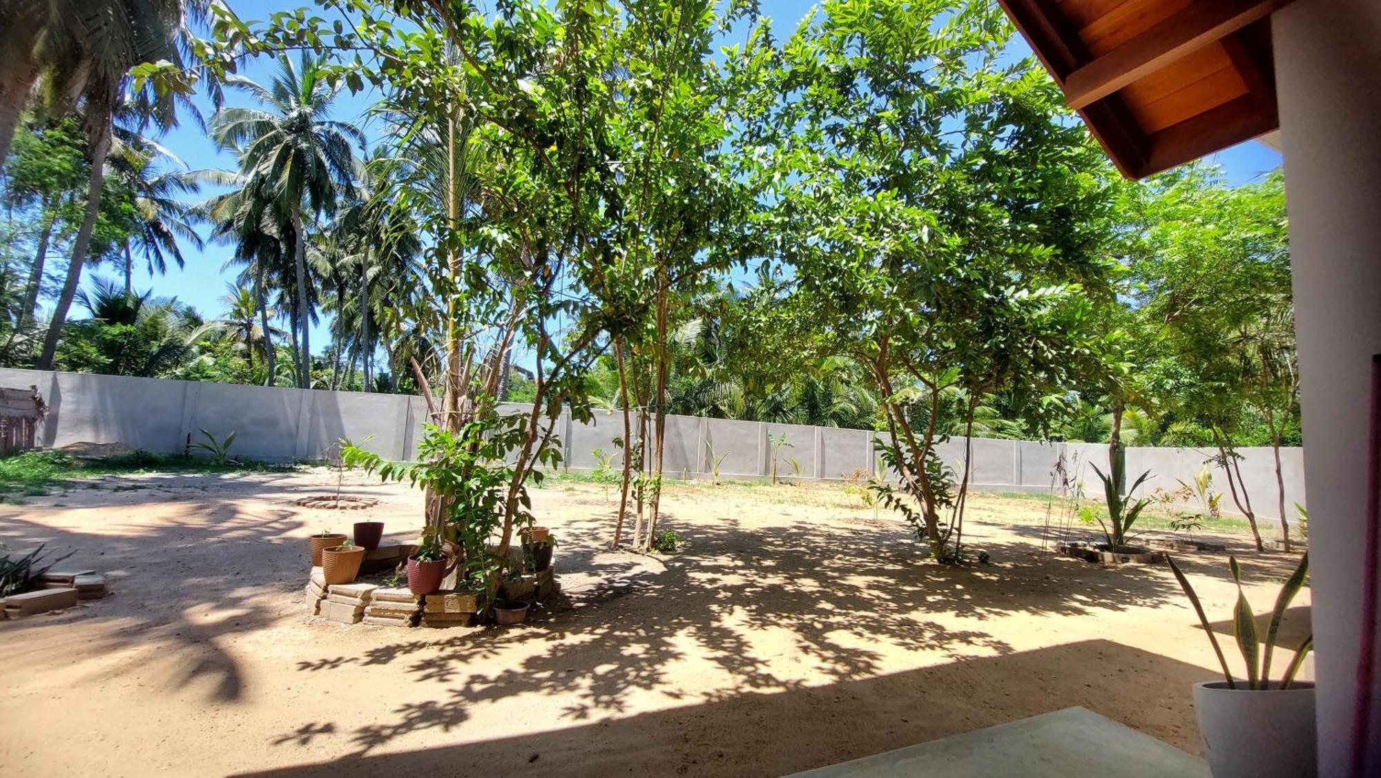 The Dream Inn Guesthouse Passikudah バッティカロア エクステリア 写真