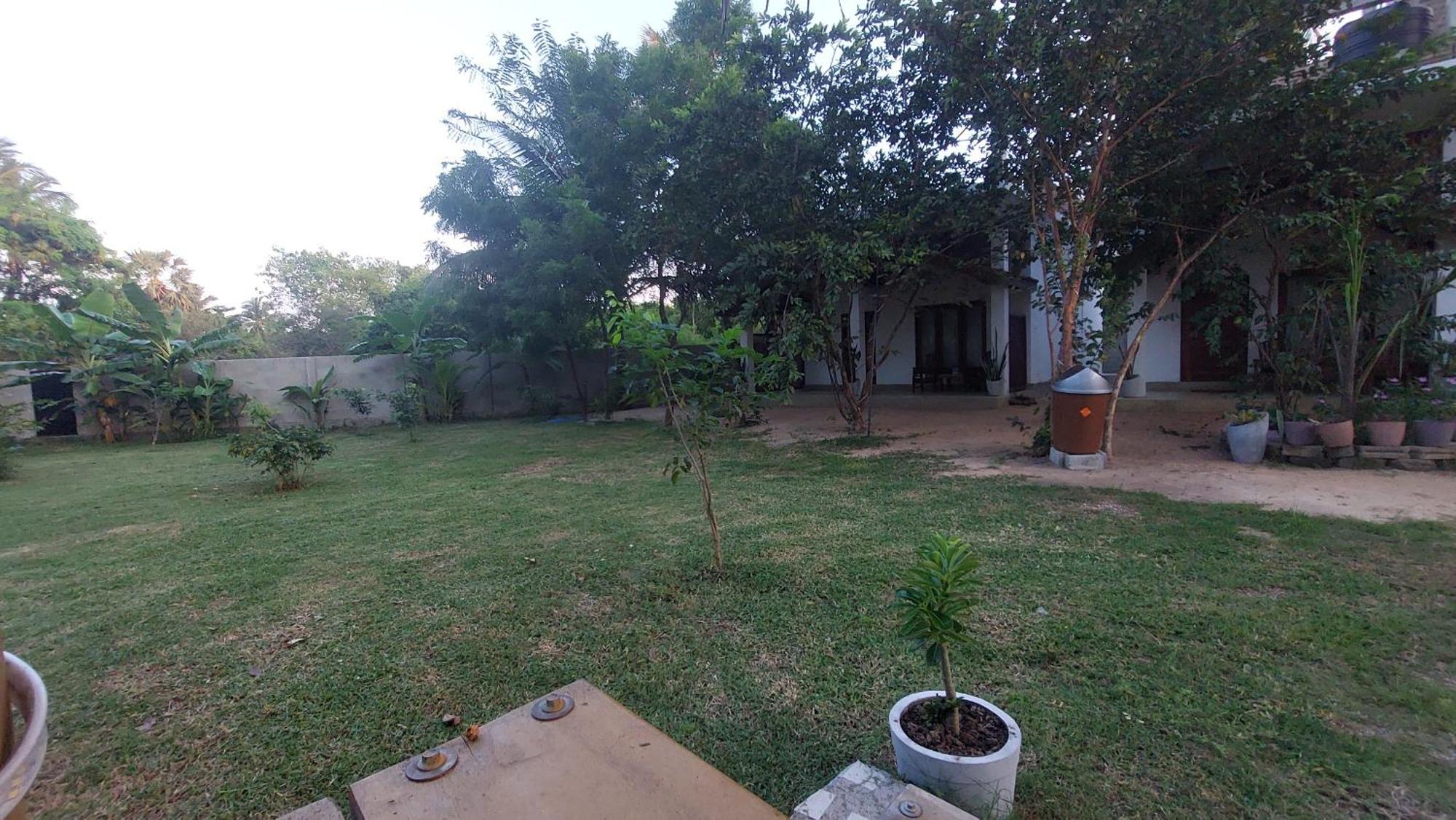 The Dream Inn Guesthouse Passikudah バッティカロア エクステリア 写真