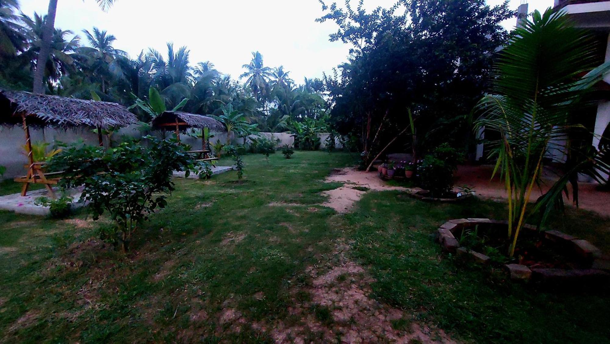 The Dream Inn Guesthouse Passikudah バッティカロア エクステリア 写真