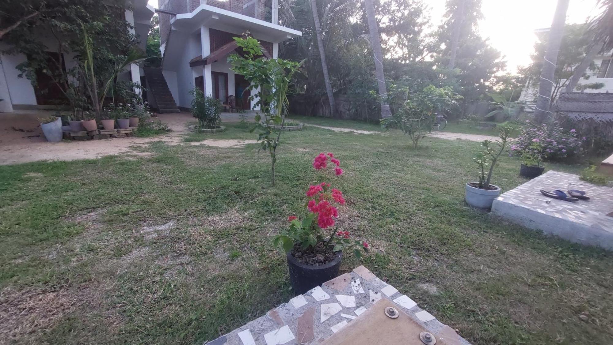 The Dream Inn Guesthouse Passikudah バッティカロア エクステリア 写真