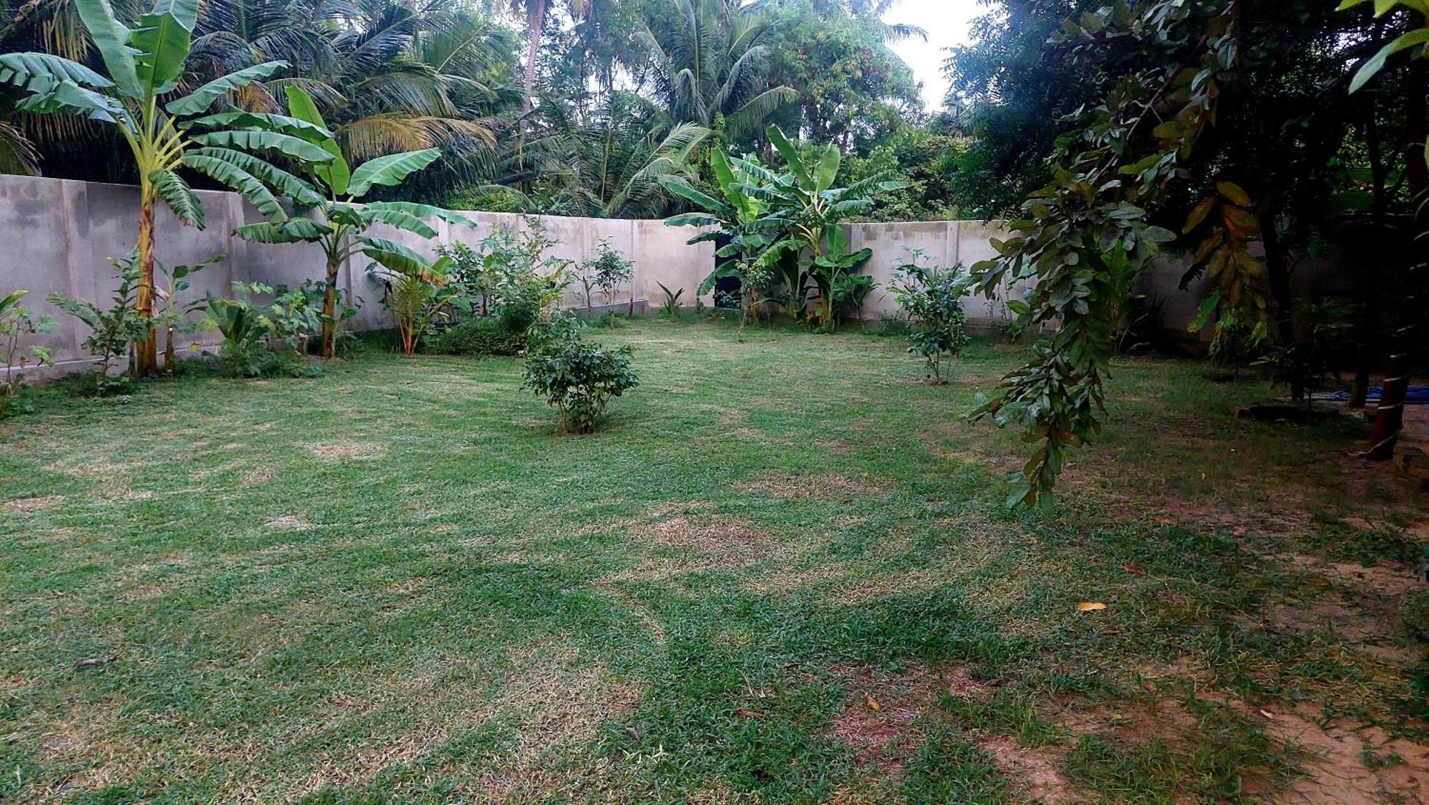 The Dream Inn Guesthouse Passikudah バッティカロア エクステリア 写真