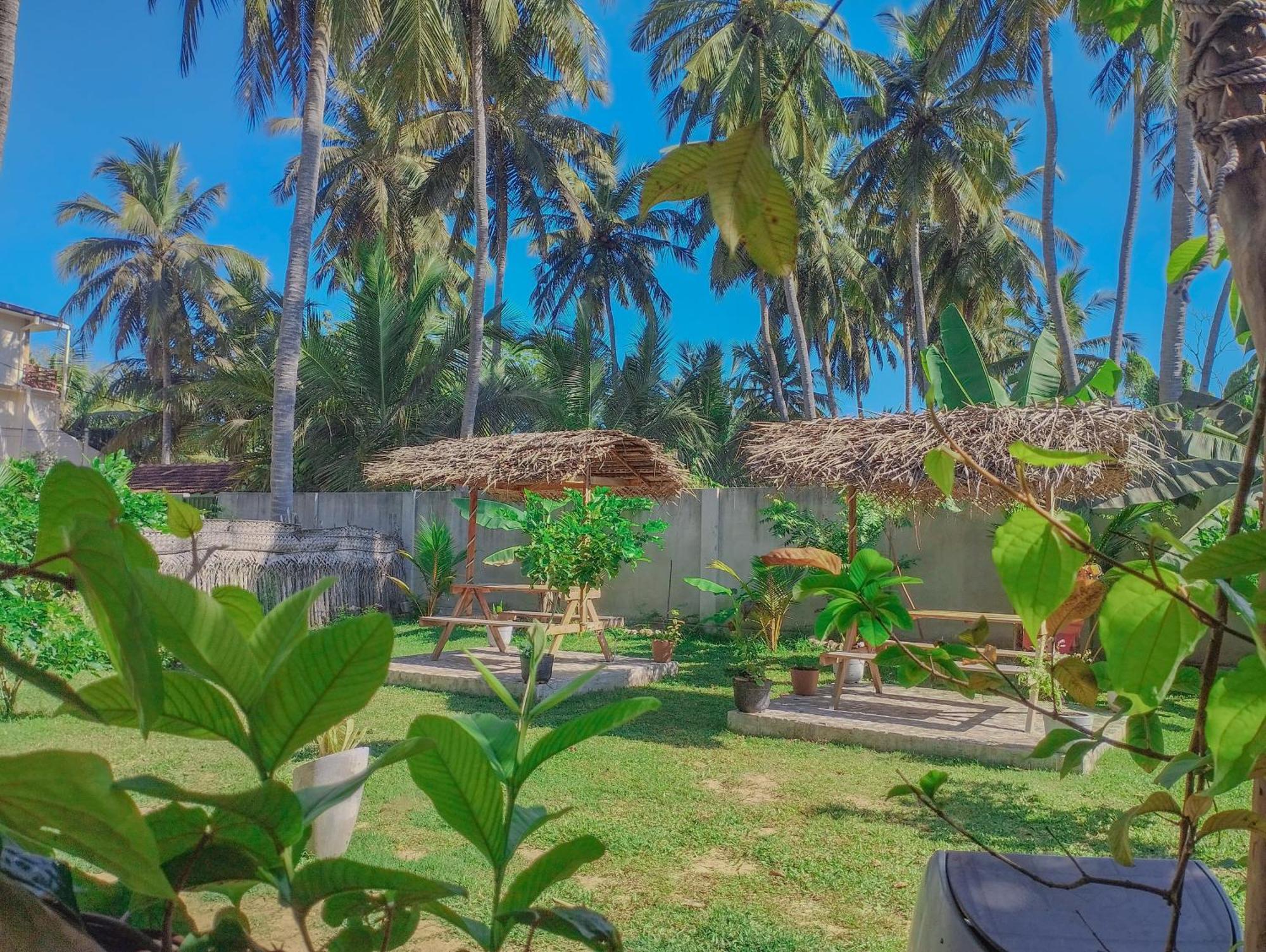 The Dream Inn Guesthouse Passikudah バッティカロア エクステリア 写真