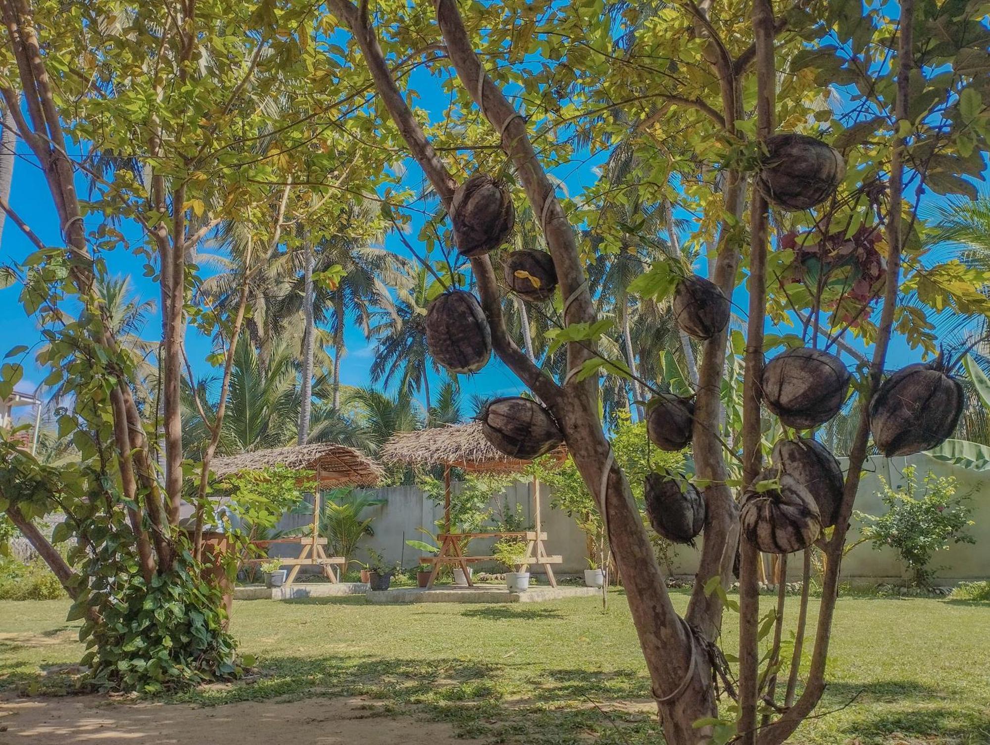 The Dream Inn Guesthouse Passikudah バッティカロア エクステリア 写真